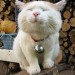 thumb12_270x360