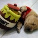 thumb18_400x293
