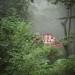 thumb3_360x360